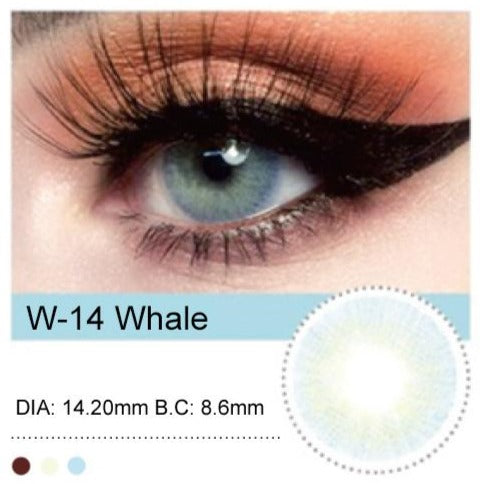 W-14 Whale